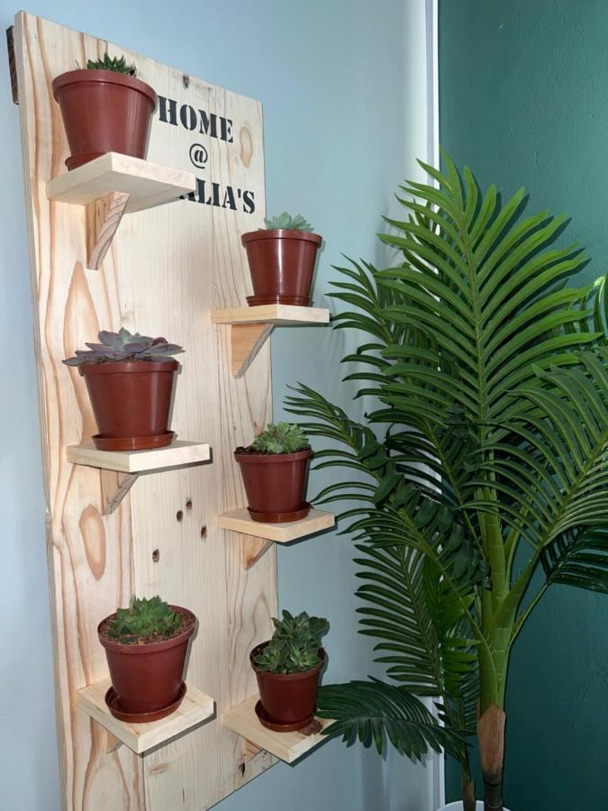 Home@Amalia'S Rundu Esterno foto